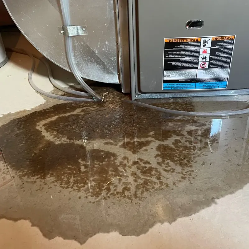 Pipe Burst and Leak Restoration in New Milford, CT